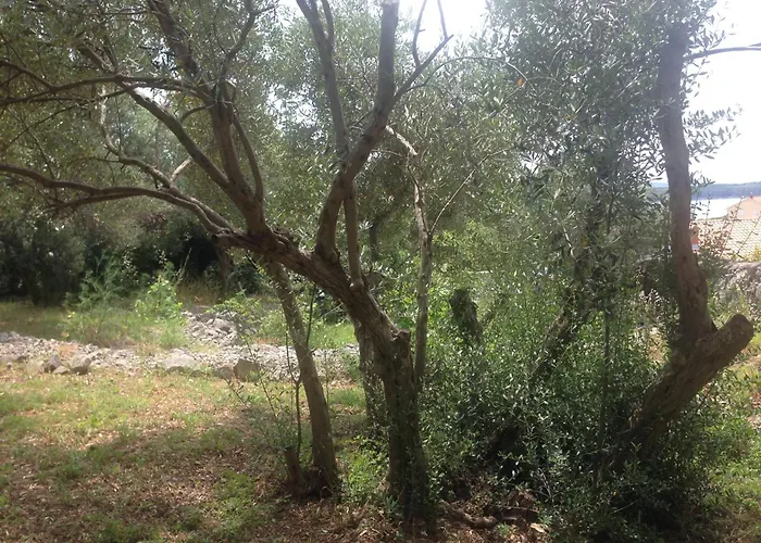 Lili Apartments, Sv Dunata 18
